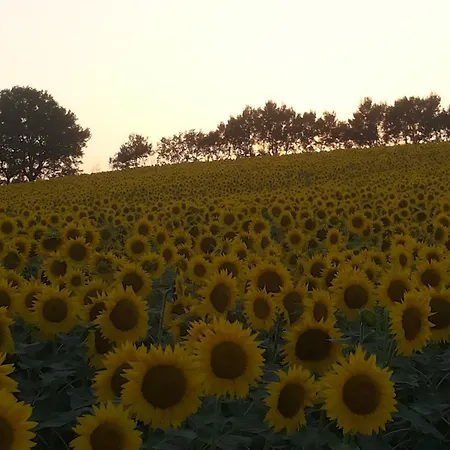 Luna Bianca Bed & Breakfast 3*