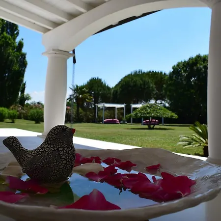 Bed & Breakfast Luna Bianca 3*